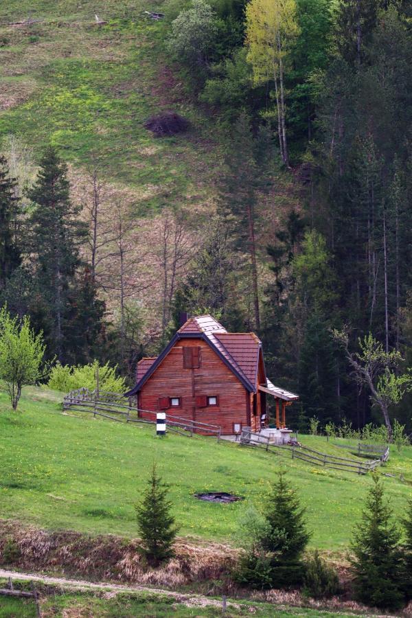 Apartment "Planinsko Selo" Zaovine Exteriér fotografie
